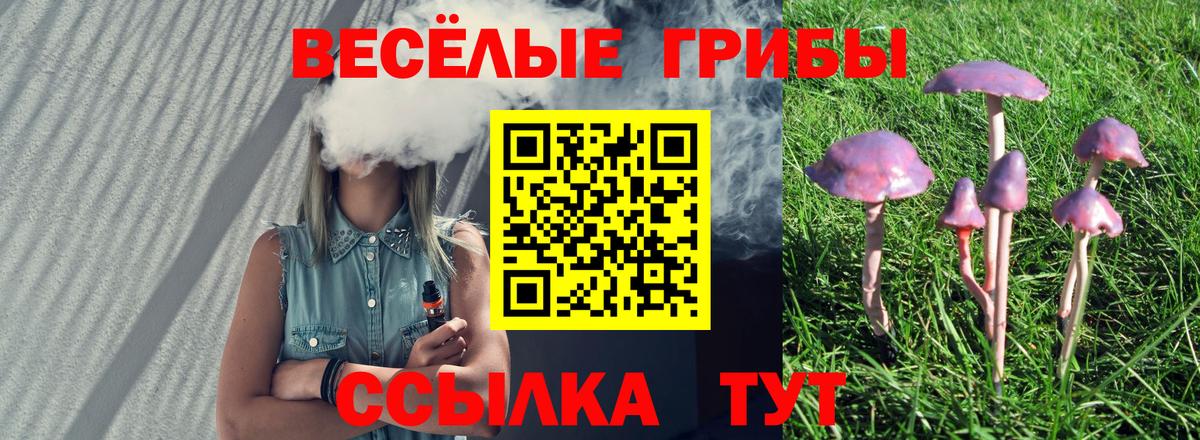Галлюциногенные грибы ЛСД Кимовск