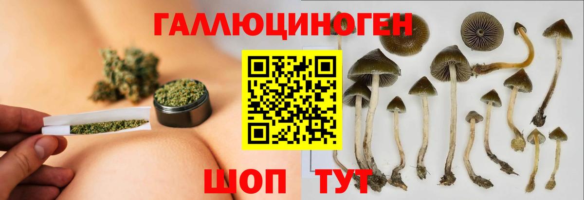 как найти закладки  Псилоцибиновые грибы Psilocybine cubensis  Вход с VPN  Кимовск 
